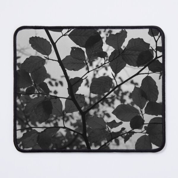 Item preview, Autumnal Tree Canopy black and white Buncrana Donegal designed and sold by eddiebarronshop.