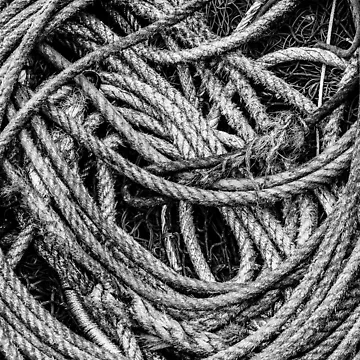 Artwork thumbnail, Coiled Rope by Dave Hare Photography