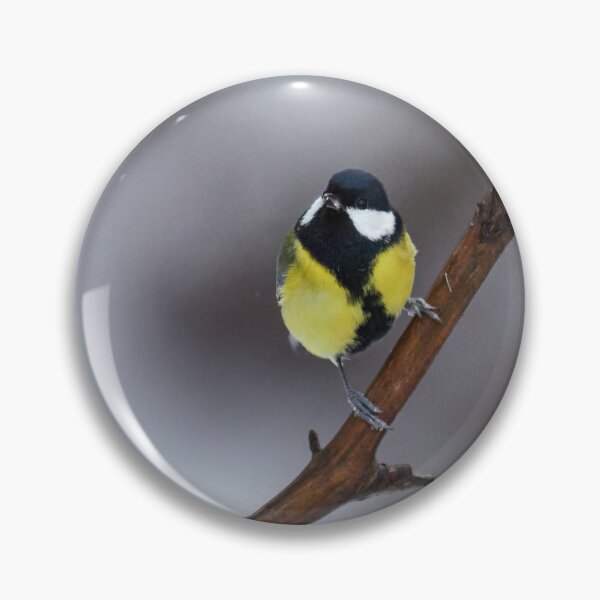 Item preview, Is it spring is it. Great tit designed and sold by Jouko Lehto Photography.