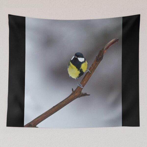 Item preview, Is it spring is it. Great tit designed and sold by Jouko Lehto Photography.