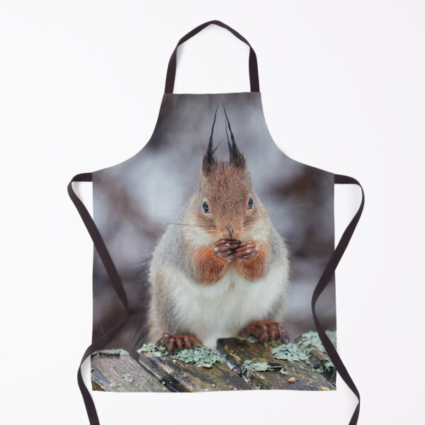 Item preview, Please. Red squirrel designed and sold by Jouko Lehto Photography.