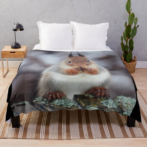Item preview, Please. Red squirrel designed and sold by Jouko Lehto Photography.