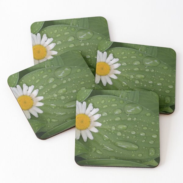 Item preview, The garden after the rain designed and sold by Claude Laprise.