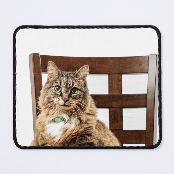 Item preview, Miss Kitty Portrait designed and sold by Baymare.