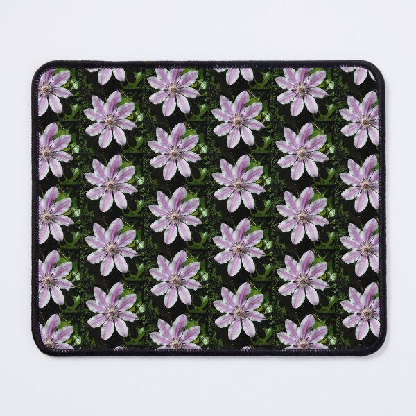 Item preview, Clematis Nellie Moser designed and sold by taiche.