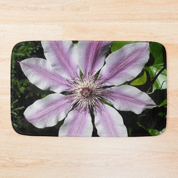 Item preview, Clematis Nellie Moser designed and sold by taiche.