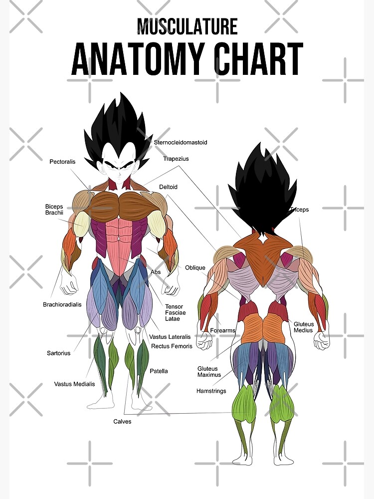 The Anatomy of the Art of Dragonball Part 3 (Continued): Time and