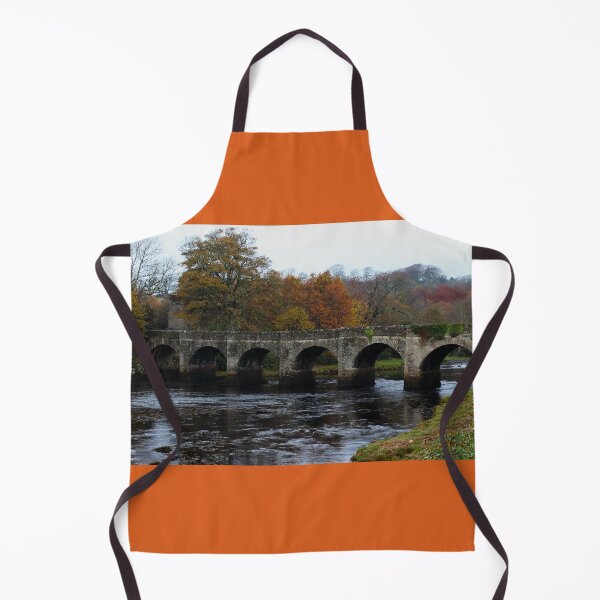 Item preview, Castle Bridge Buncrana Donegal Ireland Autumnal designed and sold by eddiebarronshop.
