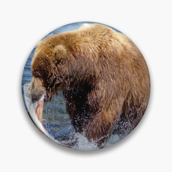 Item preview, Katmai NP - Grizzly bear caught a salmon  designed and sold by edojan-nl.