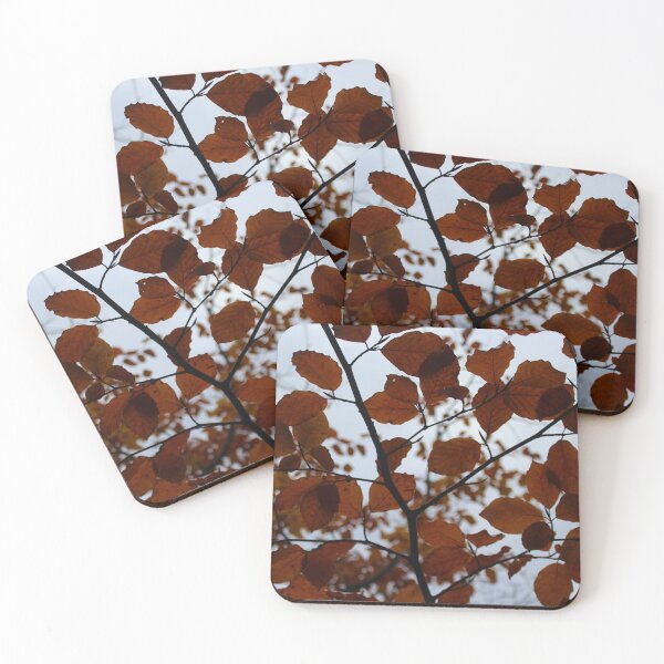 Item preview, Autumnal Canopy Rainy Buncrana Donegal Ireland designed and sold by eddiebarronshop.