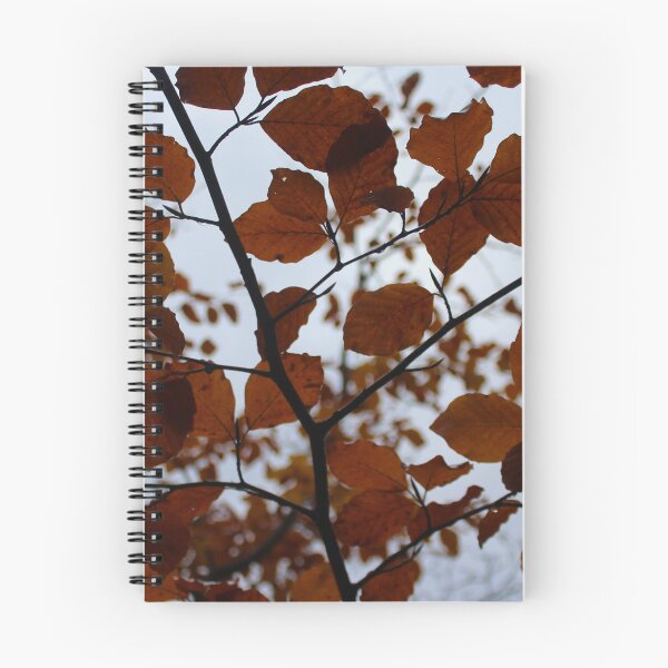 Item preview, Autumnal Canopy Rainy Buncrana Donegal Ireland designed and sold by eddiebarronshop.