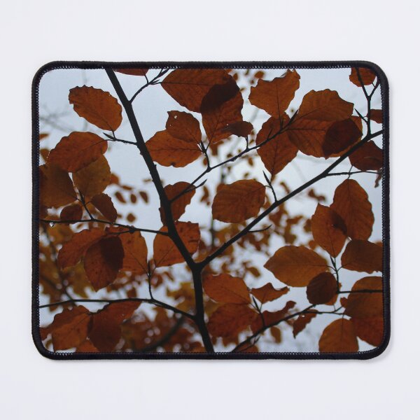 Item preview, Autumnal Canopy Rainy Buncrana Donegal Ireland designed and sold by eddiebarronshop.