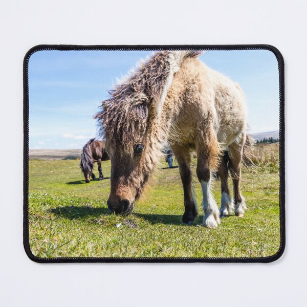 Item preview, Dartmoor Pony designed and sold by Paul Thompson Photography.