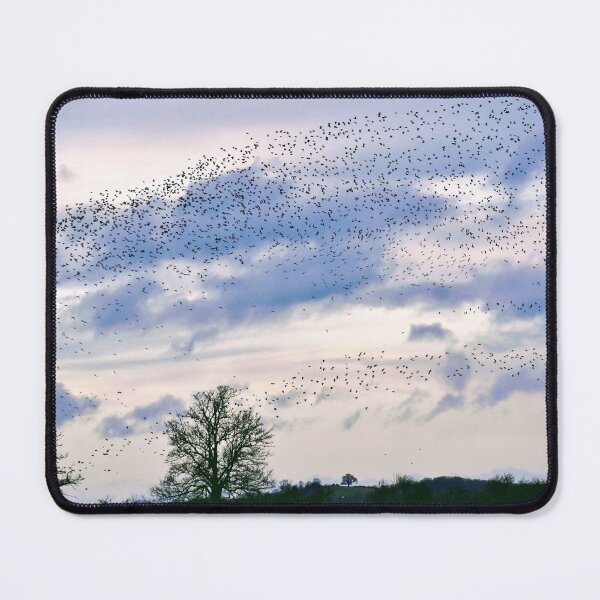 Item preview, Murmuration designed and sold by SaraTomlinson55.