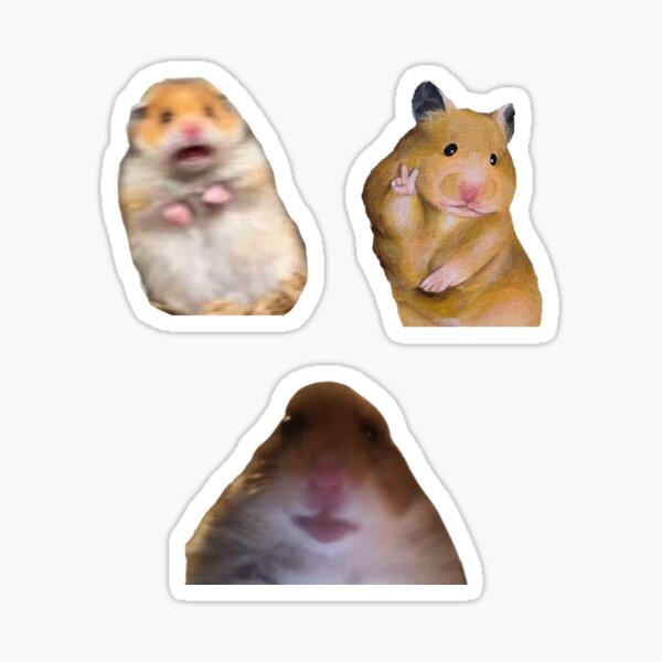 Hamster memes Sticker for Sale by art-by-lace