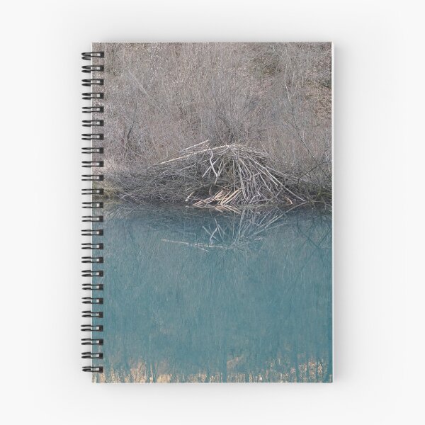 Item preview, The beaver's watery nest designed and sold by NinaButo986.