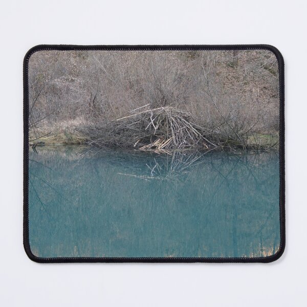Item preview, The beaver's watery nest designed and sold by NinaButo986.