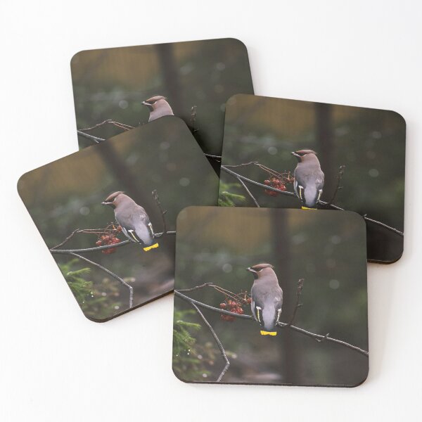 Item preview, Bohemian waxwing on a rowan tree branch designed and sold by carolmaia.