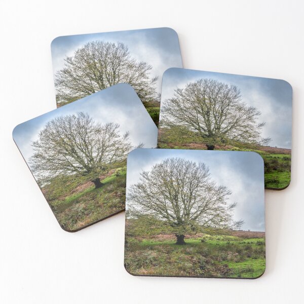 Aperçu de l'œuvre Arbre Exmoor unique créée et vendue par Dave Hare Photography.