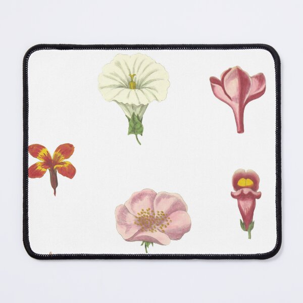 Item preview, Flower drawing set designed and sold by materialgwerll.