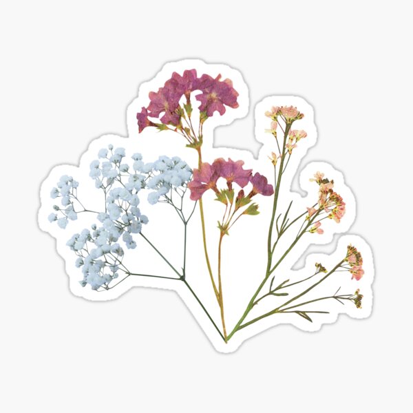 12pcs Dried Flower Aesthetic Stickers for Journals Sticker for