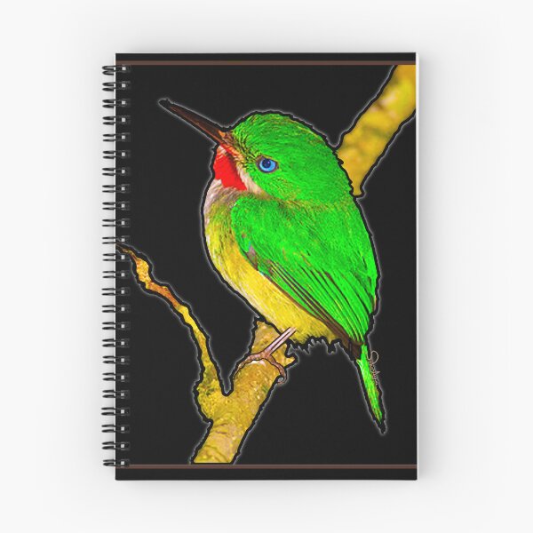 Item preview, San Pedrito Boricua designed and sold by SoLunAgua ..