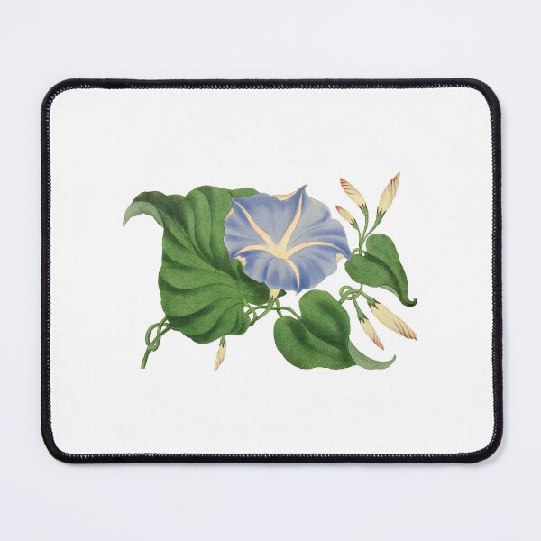 Item preview, Blue Morning Glory Flower designed and sold by silviaol.