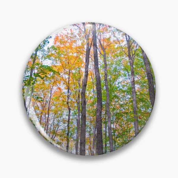 Item preview, Autumn in the Tree Tops designed and sold by Brian Shaw.