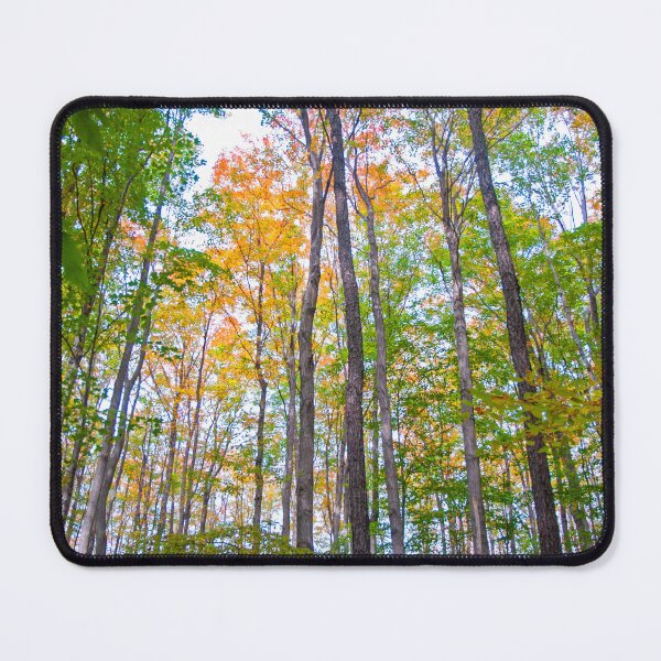 Item preview, Autumn in the Tree Tops designed and sold by Brian Shaw.