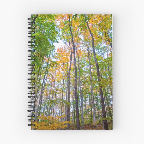 Item preview, Autumn in the Tree Tops designed and sold by Brian Shaw.