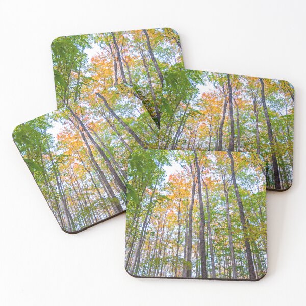 Item preview, Autumn in the Tree Tops designed and sold by Brian Shaw.