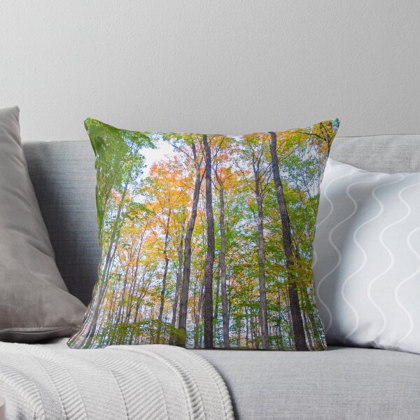 Item preview, Autumn in the Tree Tops designed and sold by Brian Shaw.