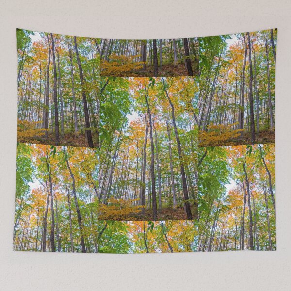 Item preview, Autumn in the Tree Tops designed and sold by Brian Shaw.