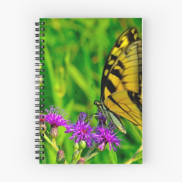 Item preview, Just for a Moment designed and sold by michaelasamples.