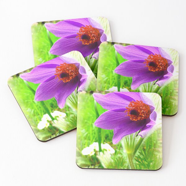 Item preview, Pulsatilla vulgaris designed and sold by angel1.