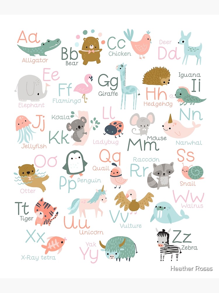 Animal Alphabet Poster - Wonderful Whirl