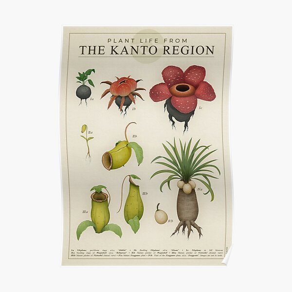 Plant life from Kanto Poster