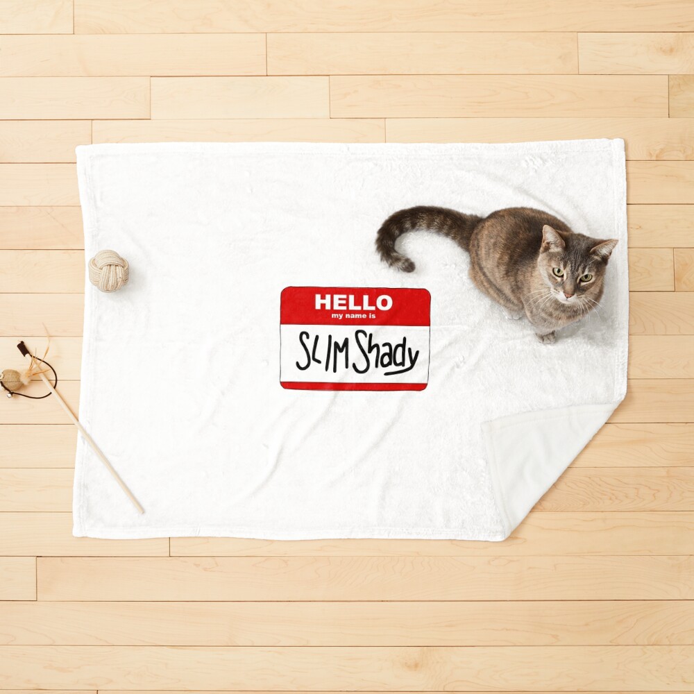 https://ih1.redbubble.net/image.4716862361.6484/ur,pet_blanket_small_flatlay_prop,square,1000x1000.jpg