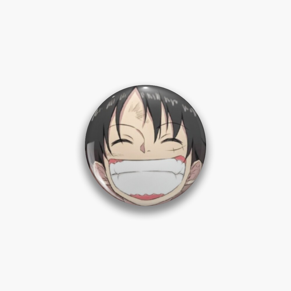 Pin on Idea Pins by you  One piece cartoon, One peice anime