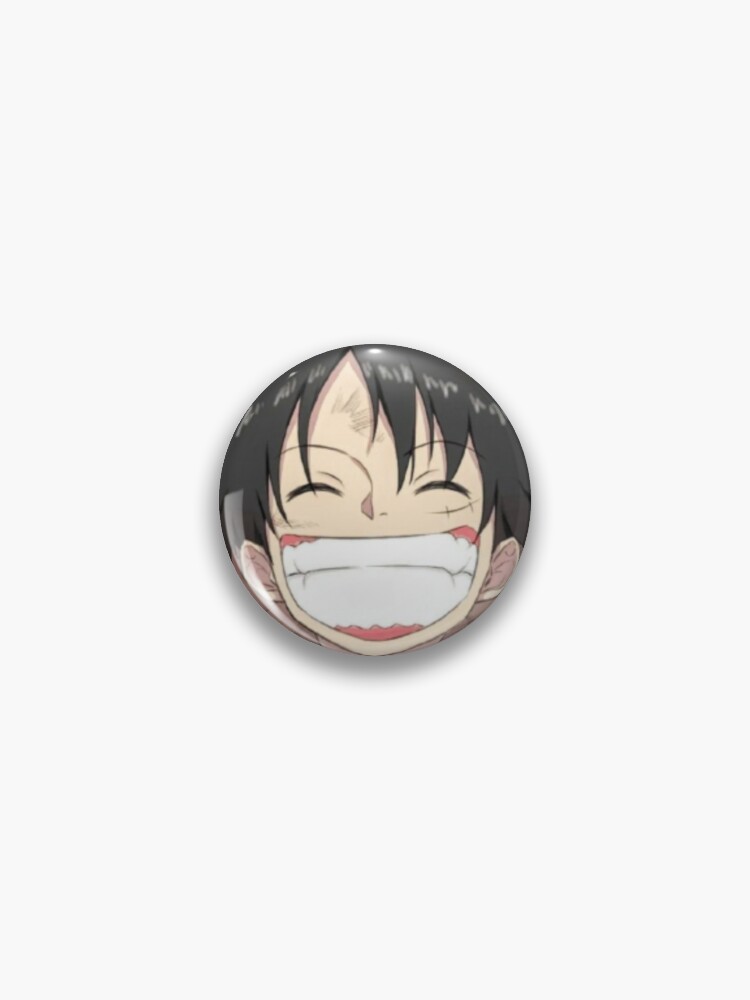 Pin on Idea Pins by you  One piece cartoon, One peice anime