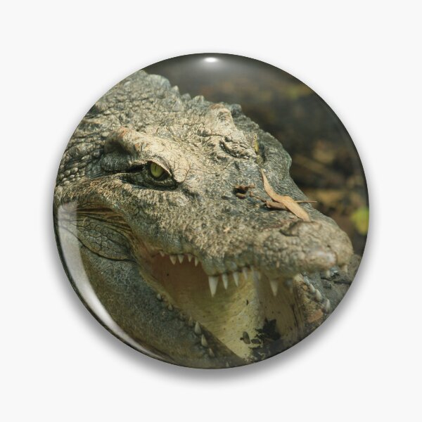 Item preview, Alligator designed and sold by ReljaX.