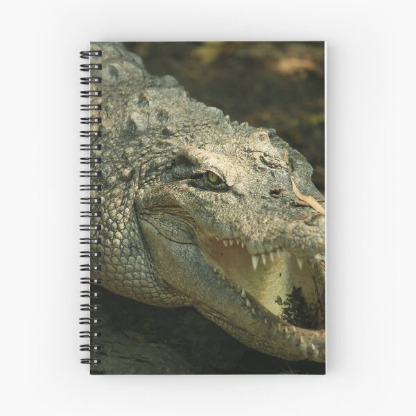 Item preview, Alligator designed and sold by ReljaX.
