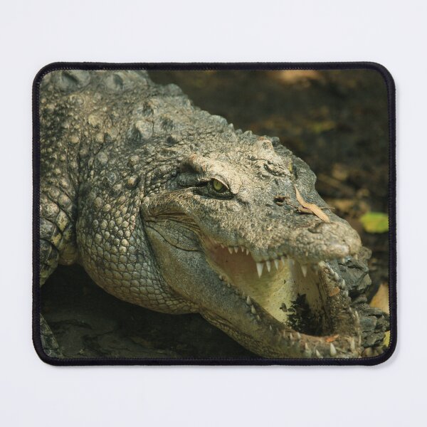 Item preview, Alligator designed and sold by ReljaX.