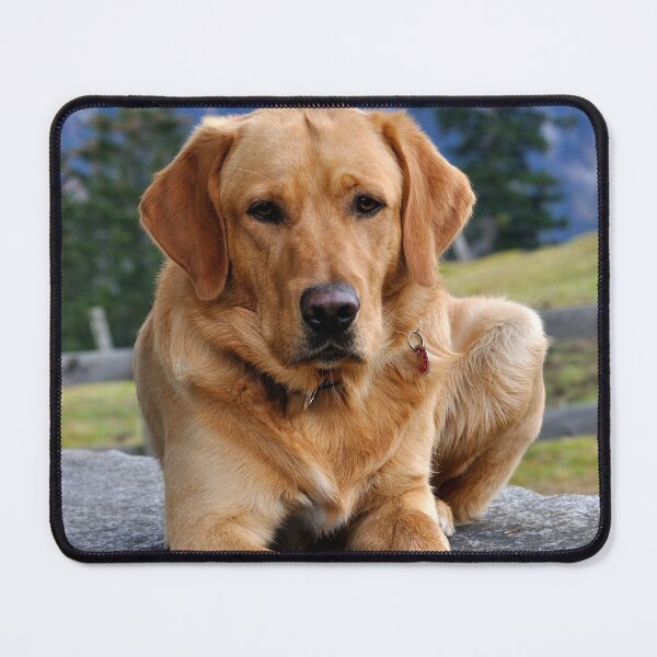 Item preview, Labrador designed and sold by Batartiste.