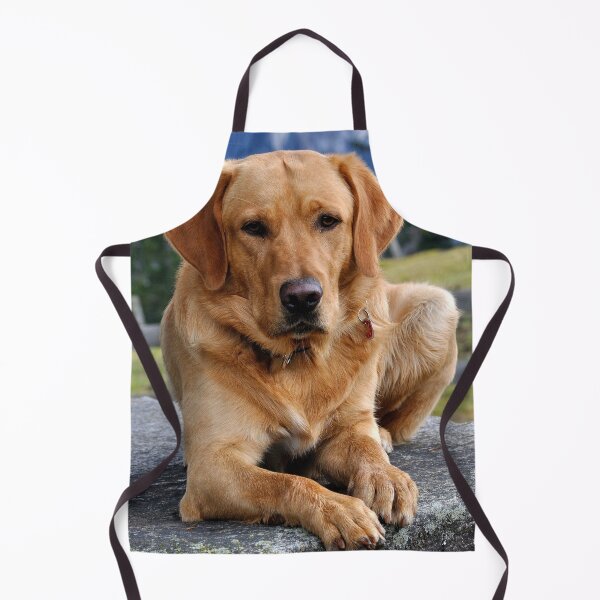 Item preview, Labrador designed and sold by Batartiste.