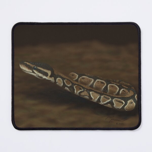 Item preview, Observant Ball Python designed and sold by Imagine My Universe.