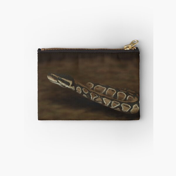 Item preview, Observant Ball Python designed and sold by Imagine My Universe.