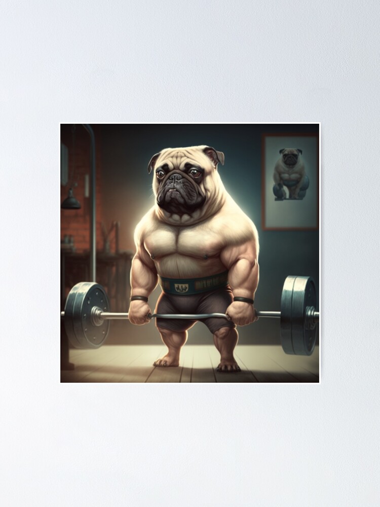 Pug doing deadlift - Pug in the Gym Dog Poster Pug Sticker