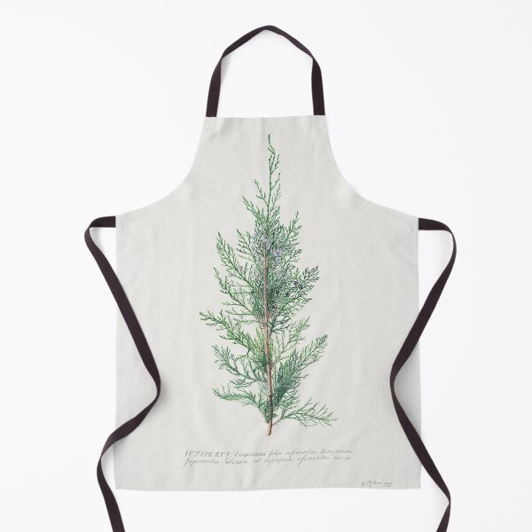 Item preview, Vintage Juniper Illustration by Georg Dionysius Ehret designed and sold by Pretty Pixel.