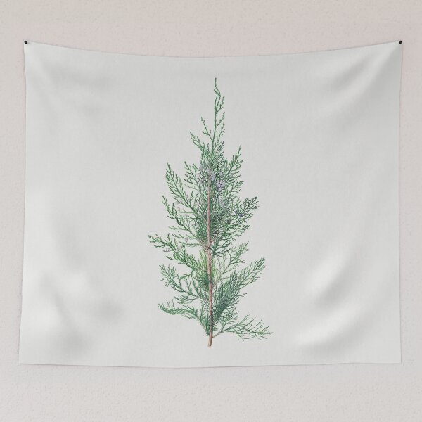Item preview, Vintage Juniper Illustration by Georg Dionysius Ehret designed and sold by Pretty  Pixel.